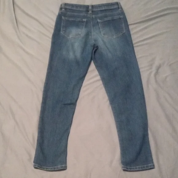 Sonoma Blue Skinny Jeans with Modern Fit And Embroidered Flowers - Picture 4 of 11